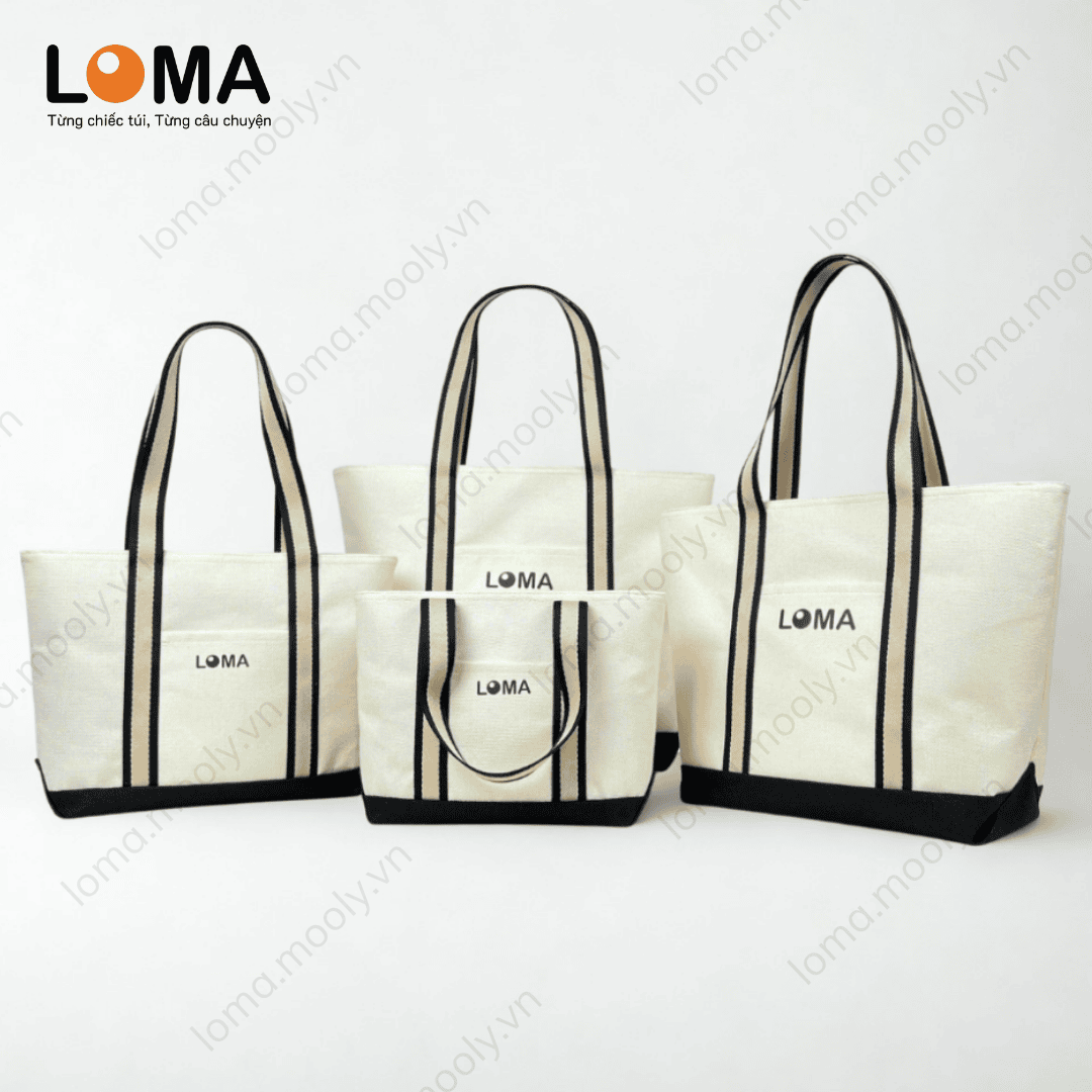 Túi hộp cao cấp